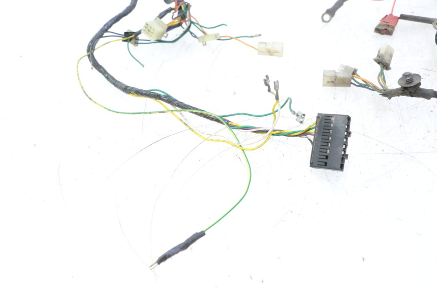 photo de WIRING HARNESS PEUGEOT LUDIX 50 (2005 - 2007) - Focus on structure