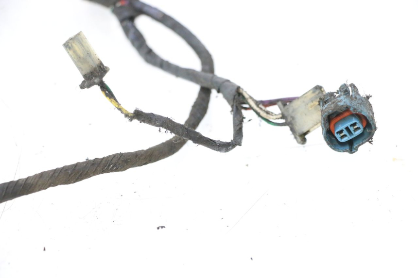photo de WIRING HARNESS PEUGEOT LUDIX 50 (2005 - 2007) - Spare part profile view