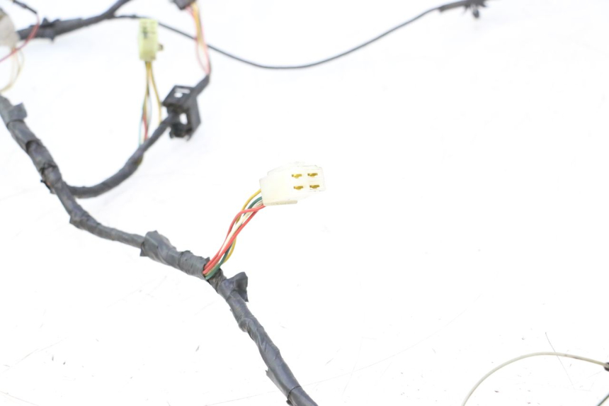 photo de WIRE HARNESS PEUGEOT LUDIX ONE 14P 50 (2004 - 2013) - Fixing points details