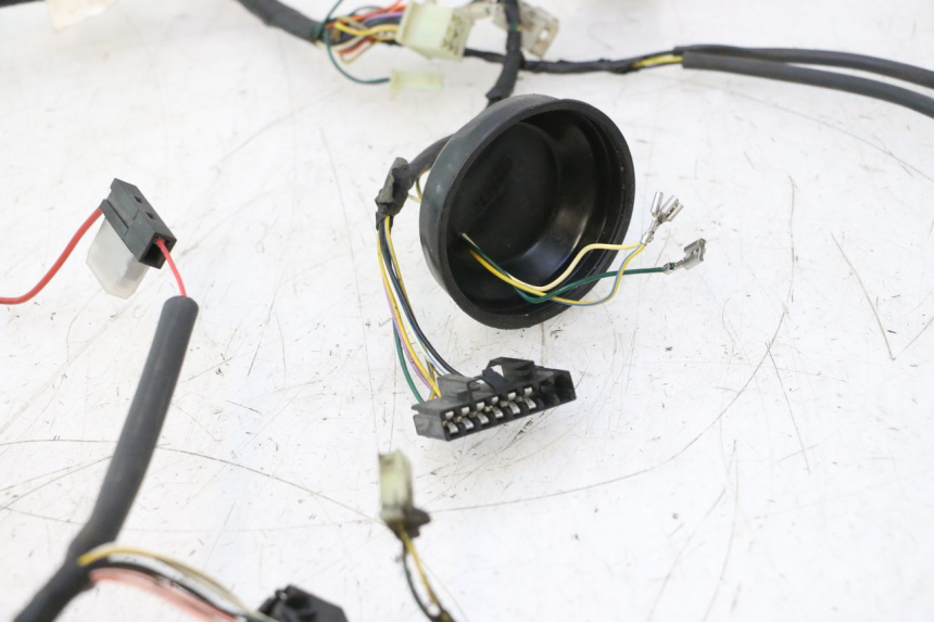 photo de WIRE HARNESS PEUGEOT LUDIX ONE 50 (2004 - 2013) - Alternative perspective
