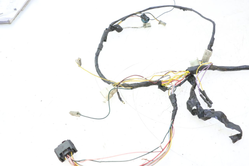 photo de WIRE HARNESS PEUGEOT LUDIX ONE 50 (2004 - 2013) - Alternative perspective