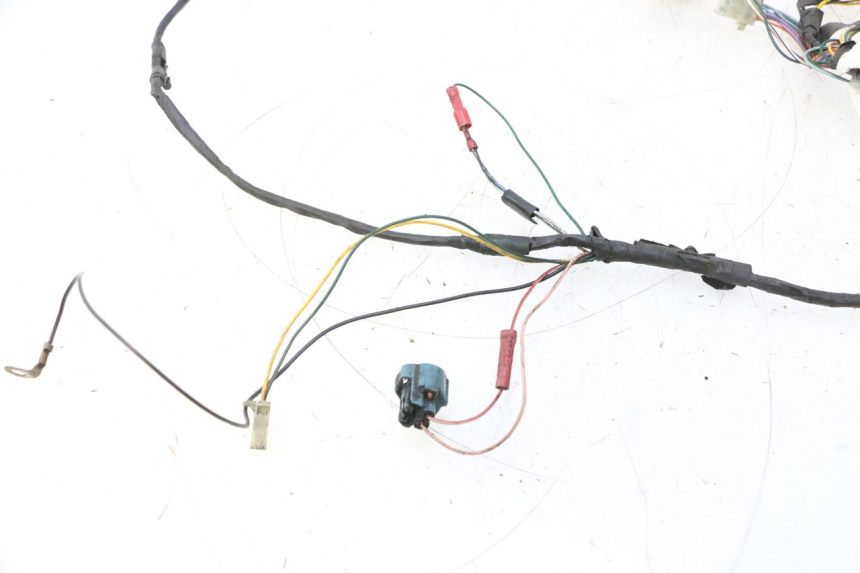 photo de WIRE HARNESS PEUGEOT LUDIX ONE 50 (2004 - 2006) - Zoom on usage condition