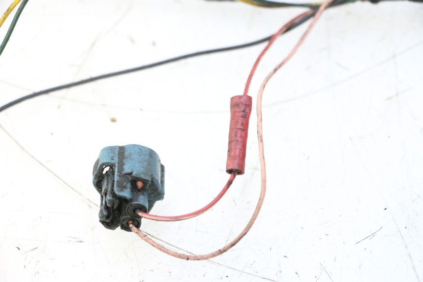 photo de WIRE HARNESS PEUGEOT LUDIX ONE 50 (2004 - 2006) - Technical close-up