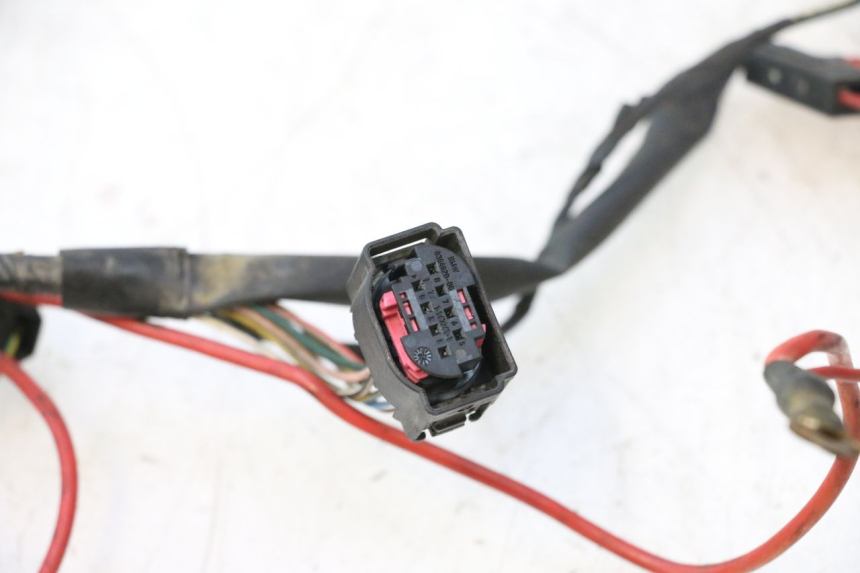 photo de WIRE HARNESS PEUGEOT LUDIX PRO 2T 50 (2010 - 2017) - Additional view of the item
