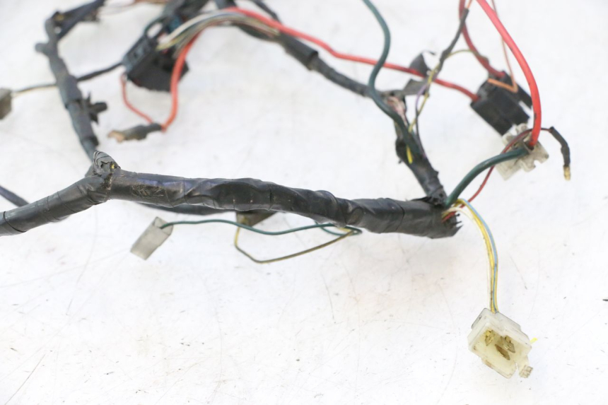 photo de WIRE HARNESS PEUGEOT LUDIX PRO 2T 50 (2010 - 2017) - High-resolution close-up