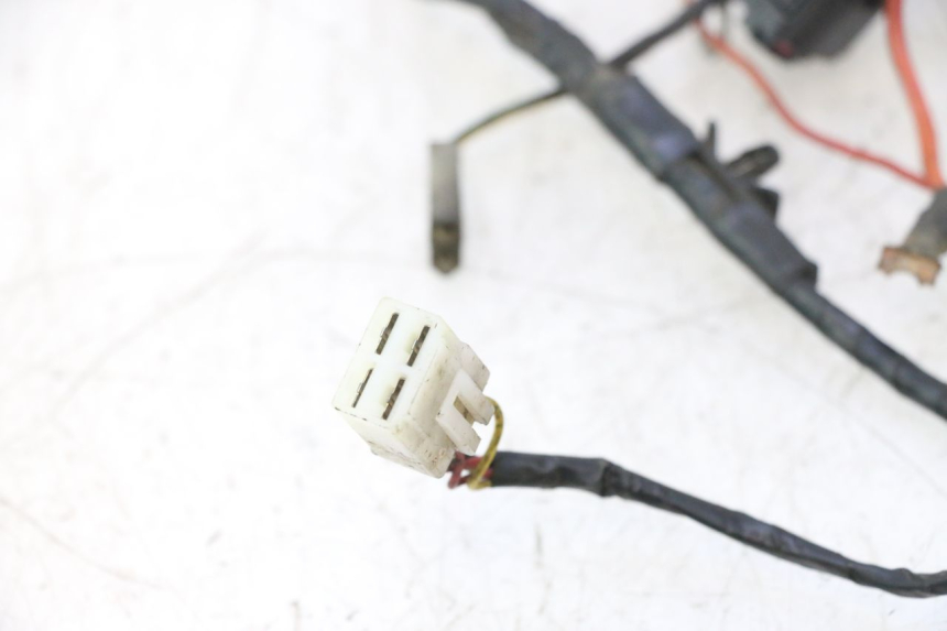 photo de WIRE HARNESS PEUGEOT LUDIX PRO 2T 50 (2010 - 2017) - Detailed visual inspection