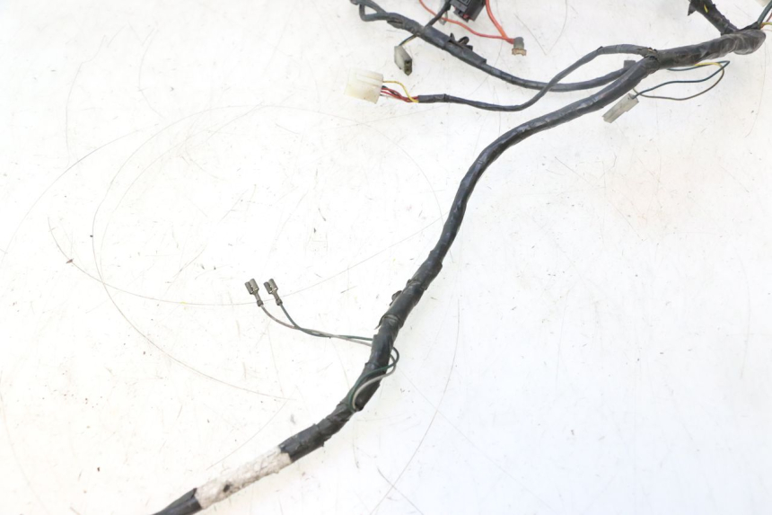 photo de WIRE HARNESS PEUGEOT LUDIX PRO 2T 50 (2010 - 2017) - Focus on structure