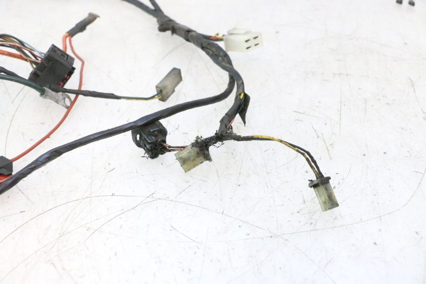 photo de WIRE HARNESS PEUGEOT LUDIX PRO 2T 50 (2010 - 2017) - Spare part profile view