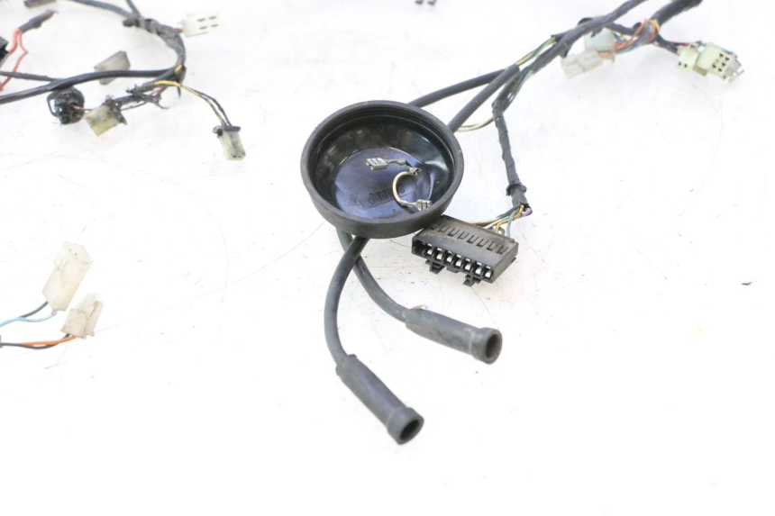 photo de WIRE HARNESS PEUGEOT LUDIX PRO 2T 50 (2010 - 2017) - Component detail