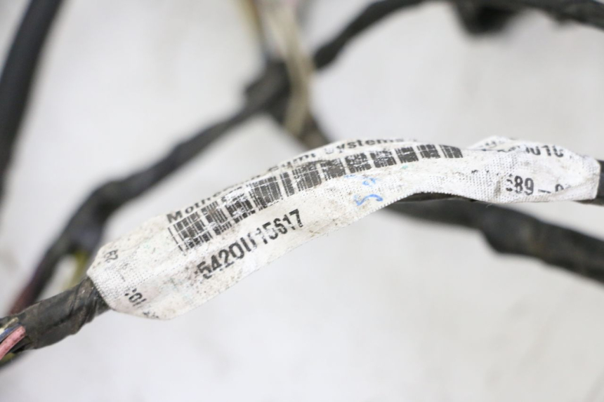 photo de WIRE HARNESS PIAGGIO LXV 4T 50 (2009 - 2013) - Checked used part