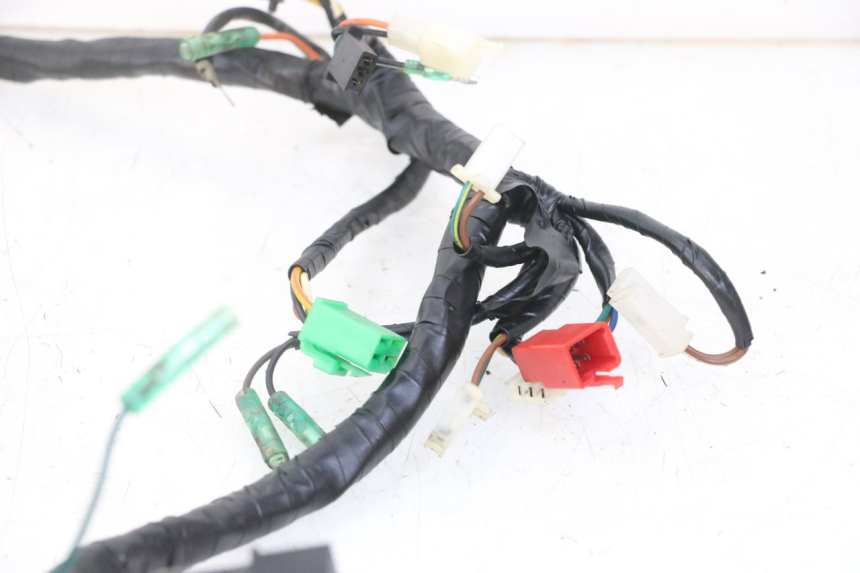 photo de WIRE HARNESS MASAI XL 50 (2012 - 2019) - Fixing points details