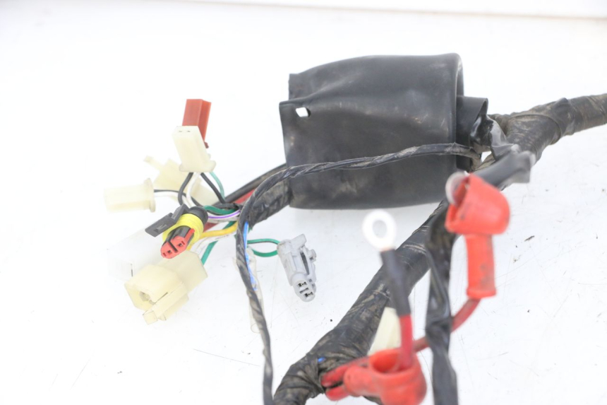 photo de WIRE HARNESS MASH CITY 4T 50 (2018 - 2020) - Product overview