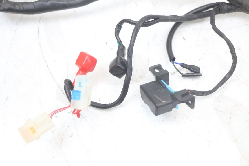 photo de WIRE HARNESS MASH LEGEND'R 4T 50 (2021 - 2025) - Surface and material condition