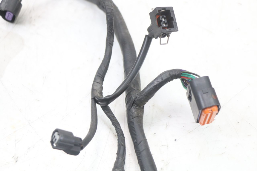 photo de WIRE HARNESS MASH LEGEND'R 4T 50 (2021 - 2025) - Markings and original references