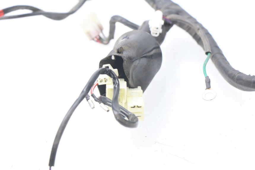 photo de WIRING HARNESS JM MOTORS MIA 50 (2017 - 2020) - Alternative perspective