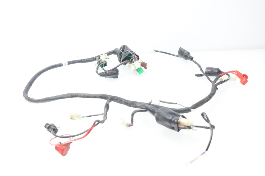 photo de WIRING HARNESS JM MOTORS MIA 50 (2017 - 2020) - Technical close-up