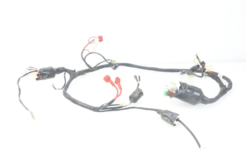 photo de WIRING HARNESS JM MOTORS MIA 50 (2017 - 2020) - Main view