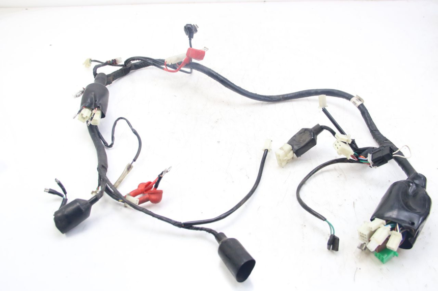 photo de WIRING HARNESS JM MOTORS MIA 50 (2017 - 2020) - Component detail
