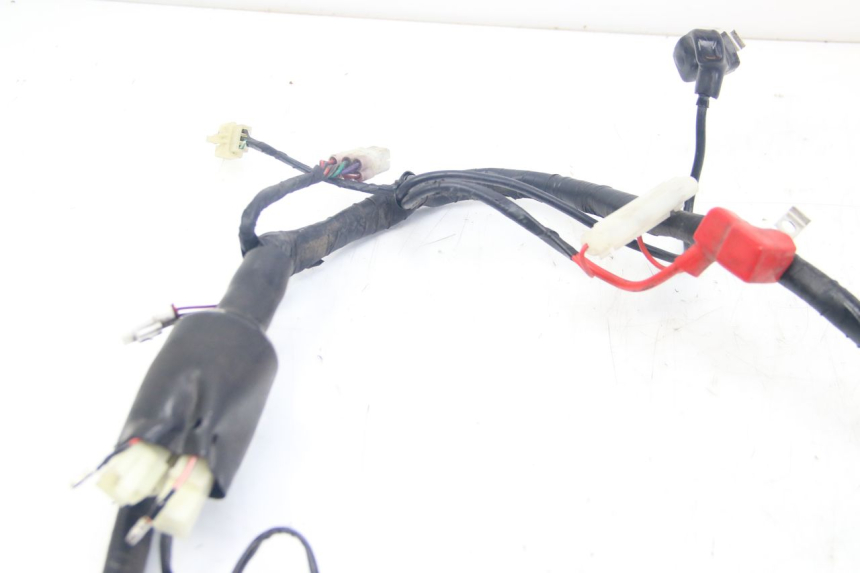photo de WIRING HARNESS JM MOTORS MIA 50 (2017 - 2020) - Technical close-up