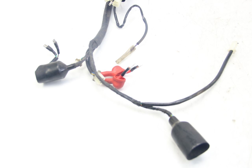 photo de WIRING HARNESS JM MOTORS MIA 50 (2017 - 2020) - Product overview