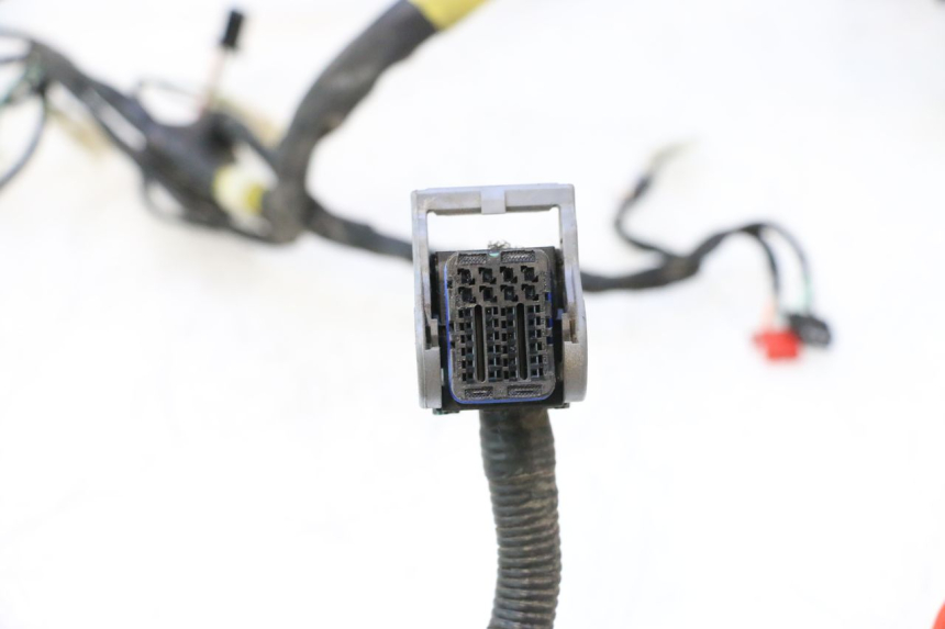 photo de WIRE HARNESS KYMCO MOVIE S 125 (2009 - 2018) - Technical close-up