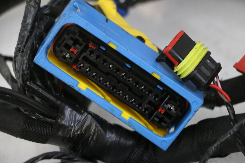 photo de WIRE HARNESS PIAGGIO MP3 HPE 310 (2024 - 2025) - Technical close-up