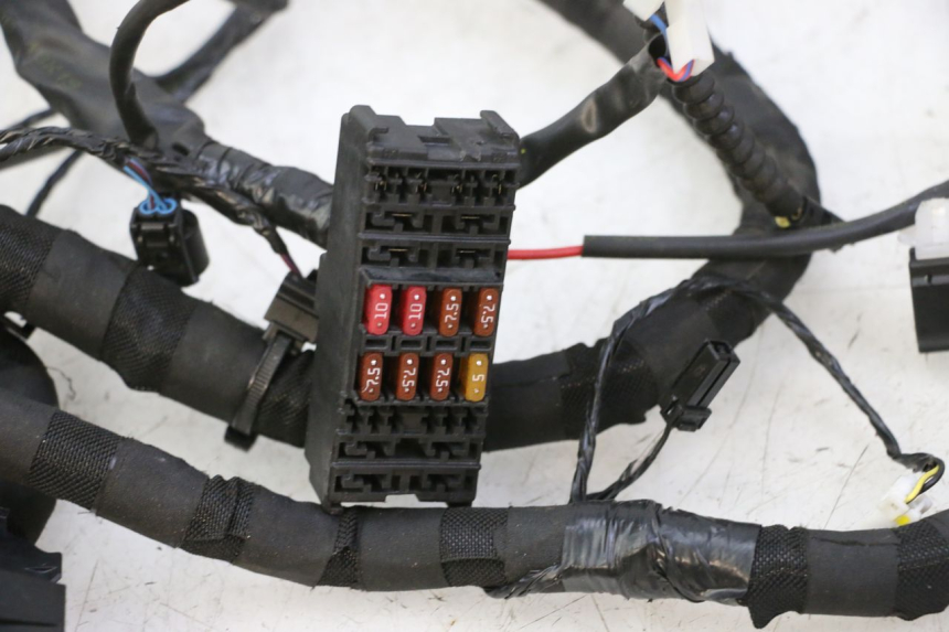 photo de WIRE HARNESS PIAGGIO MP3 HPE 310 (2024 - 2025) - Fixing points details