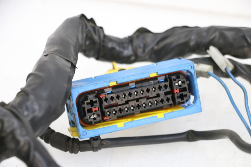 photo de WIRE HARNESS PIAGGIO MP3 HPE 350 (2018 - 2020) - Fixing points details