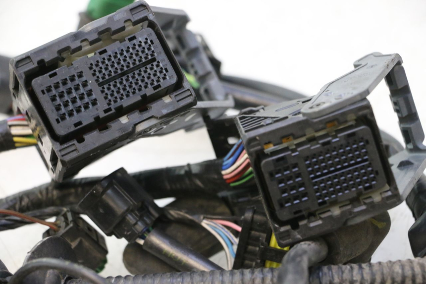 photo de WIRE HARNESS PIAGGIO MP3 HPE 530 (2022 - 2026) - Technical close-up