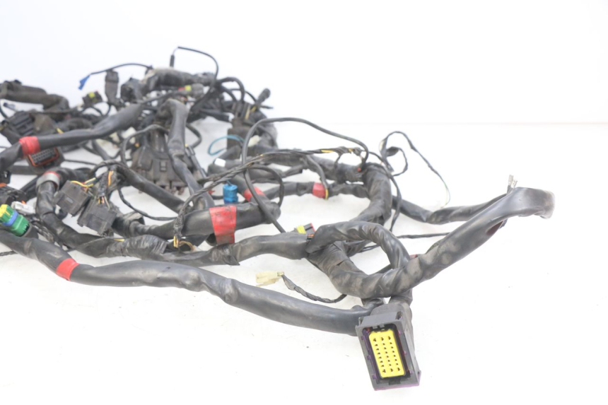 photo de WIRING HARNESS PIAGGIO MP3 LT 300 (2010 - 2016) - Component detail