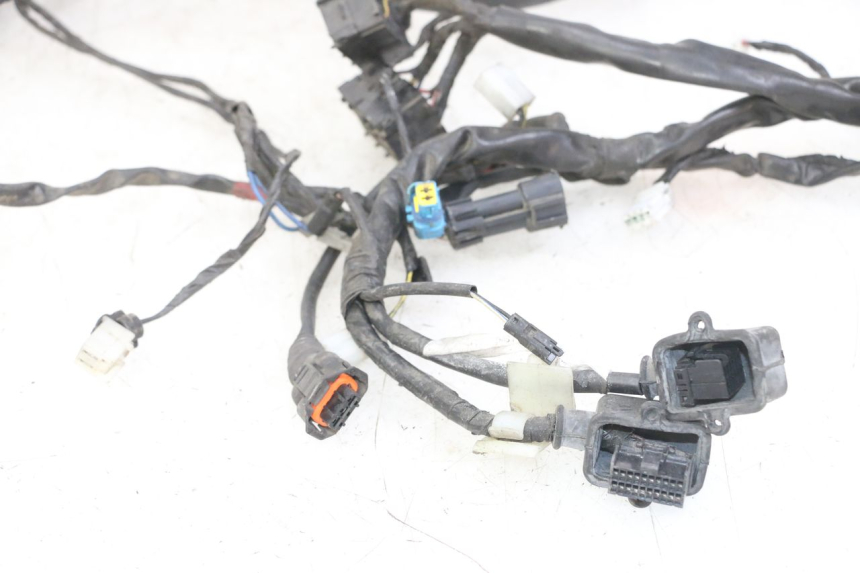 photo de WIRE HARNESS PIAGGIO MP3 LT 400 (2007 - 2012) - Distinctive features