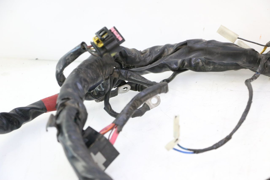 photo de WIRING HARNESS PIAGGIO MP3 LT 300 (2010 - 2016) - High-resolution close-up