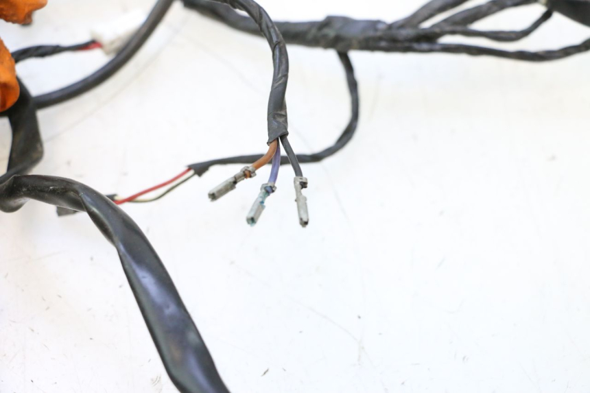 photo de WIRE HARNESS PIAGGIO MP3 LT 400 (2007 - 2012) - Product overview
