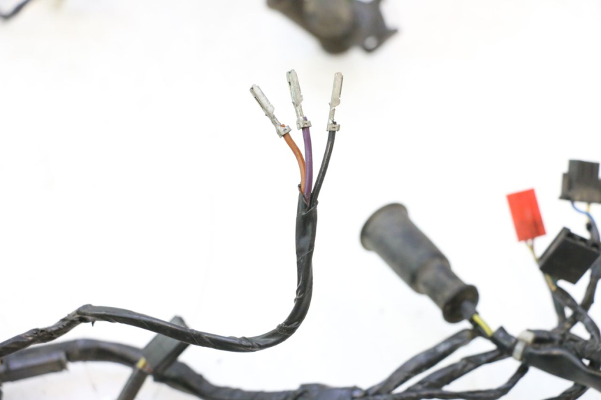 photo de WIRE HARNESS PIAGGIO MP3 LT 400 (2007 - 2012) - Fixing points details
