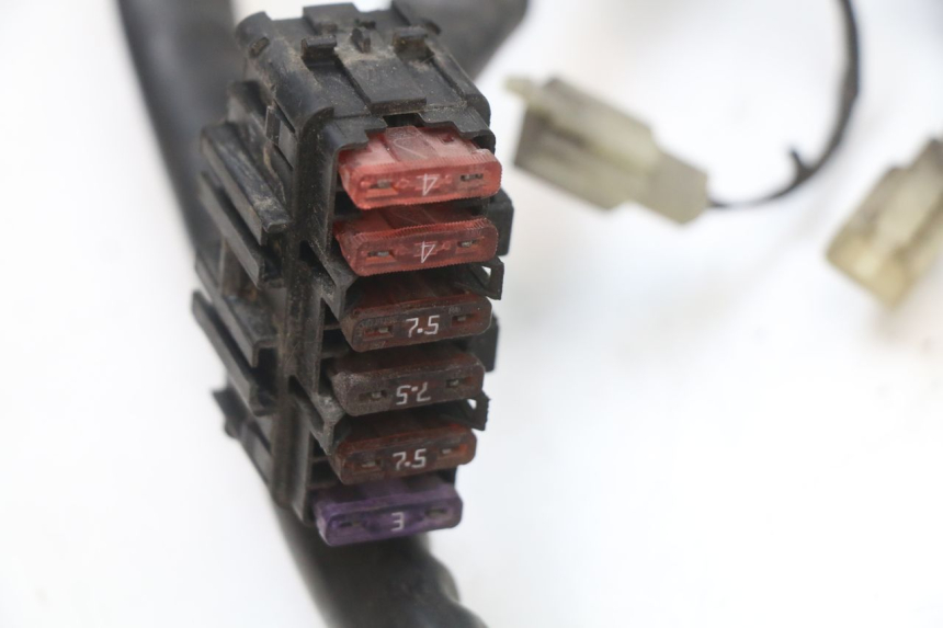 photo de WIRE HARNESS PIAGGIO MP3 125 (2006 - 2014) - Technical close-up