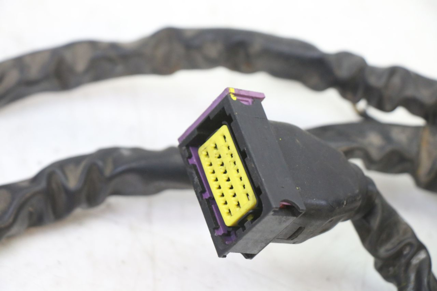 photo de WIRING HARNESS PIAGGIO MP3 500 (2014 - 2017) - Fixing points details