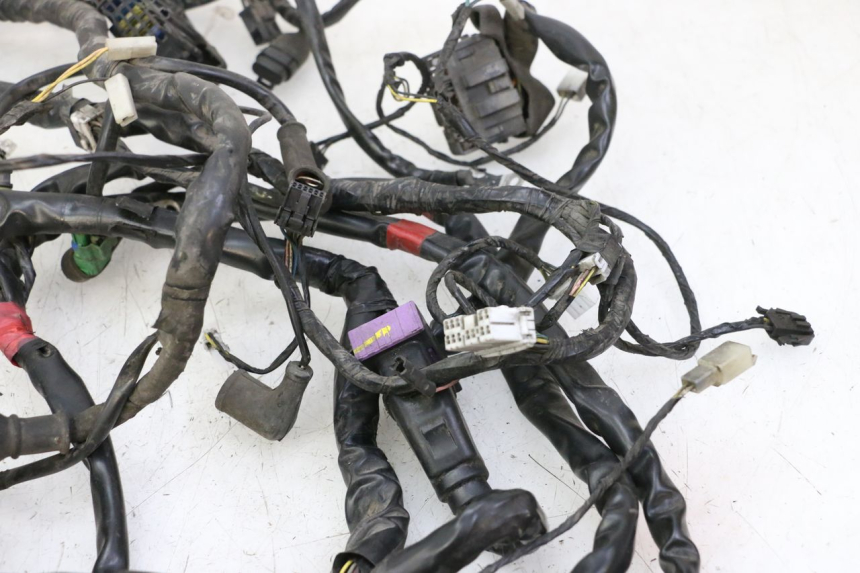 photo de WIRE HARNESS PIAGGIO MP3 500 (2011 - 2015) - Component detail