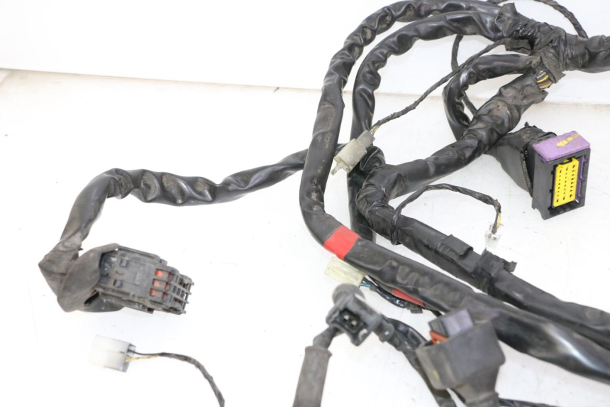 photo de WIRE HARNESS PIAGGIO MP3 500 (2011 - 2015) - Spare part profile view