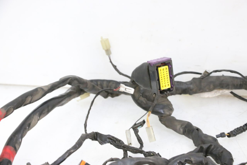 photo de WIRE HARNESS PIAGGIO MP3 125 (2006 - 2014) - Surface and material condition