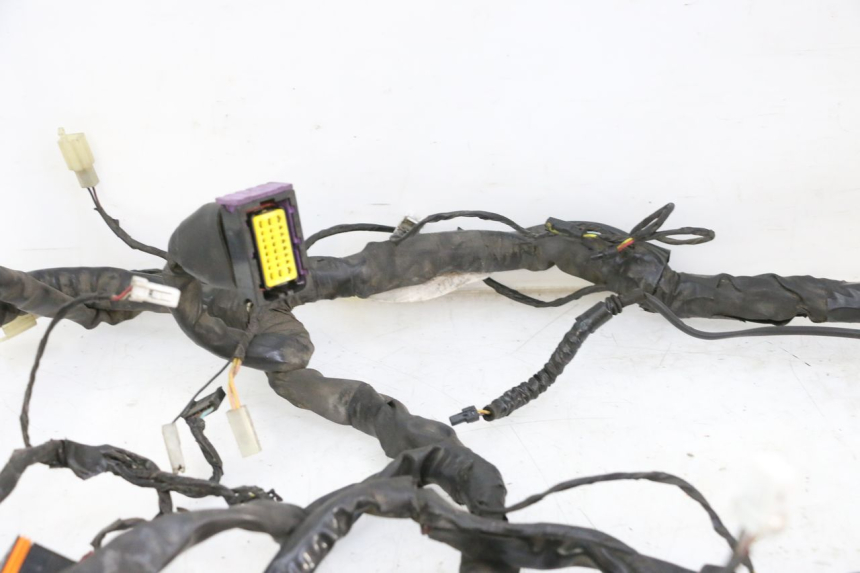 photo de WIRE HARNESS PIAGGIO MP3 125 (2006 - 2014) - Checked used part