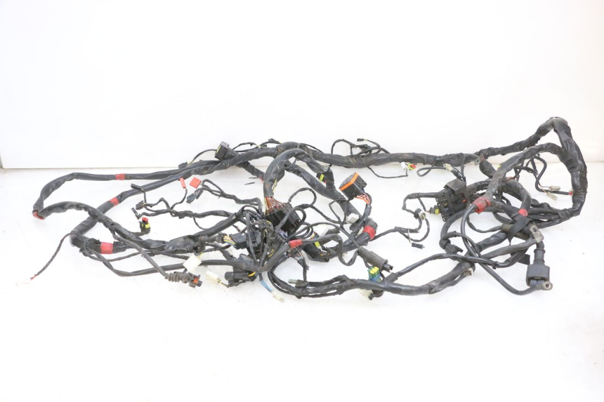 photo de WIRE HARNESS PIAGGIO MP3 RL 250 (2006 - 2010) - Main view