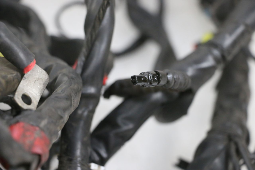 photo de WIRE HARNESS PIAGGIO MP3 RL 250 (2006 - 2010) - Component detail