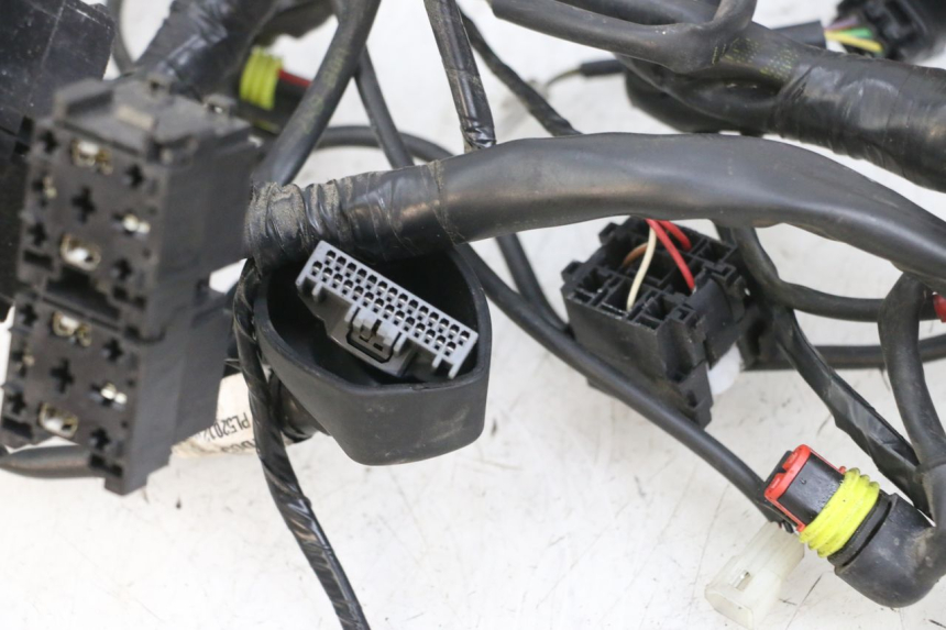 photo de WIRE HARNESS PIAGGIO MP3 500 (2016 - 2018) - Main view