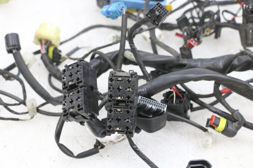 photo de WIRE HARNESS PIAGGIO MP3 500 (2016 - 2018) - Component detail