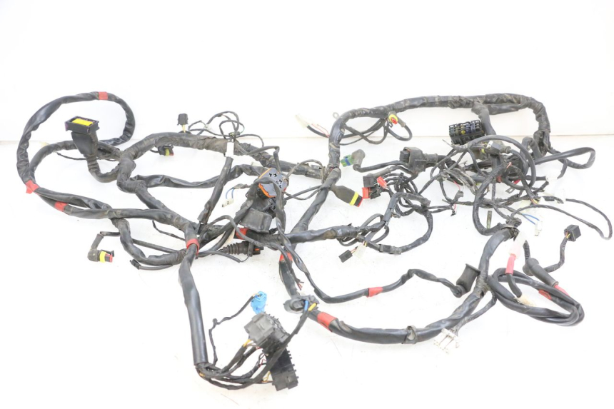 photo de WIRE HARNESS PIAGGIO MP3 RL 250 (2006 - 2010) - Main view