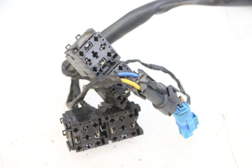 photo de WIRE HARNESS PIAGGIO MP3 RL 250 (2006 - 2010) - Distinctive features