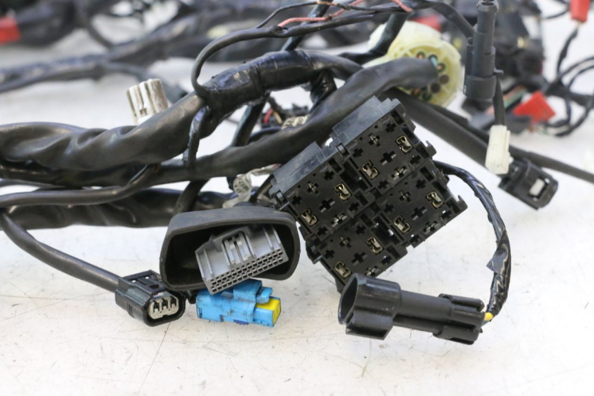 photo de WIRE HARNESS PIAGGIO MP3 500 (2016 - 2018) - Focus on structure