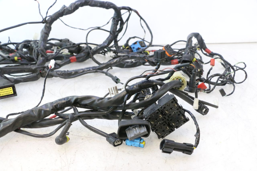 photo de WIRE HARNESS PIAGGIO MP3 500 (2016 - 2018) - Alternative angle