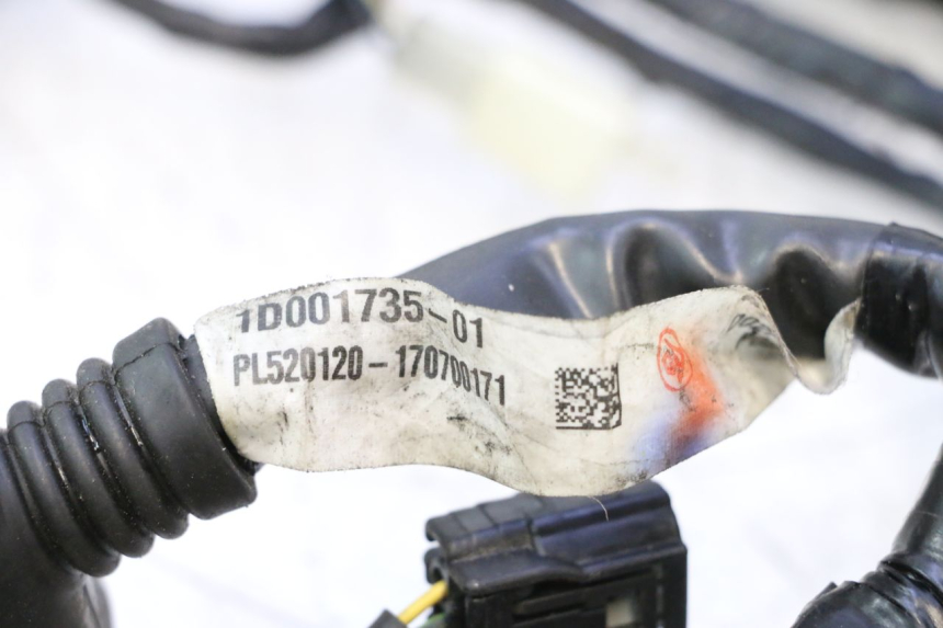 photo de WIRE HARNESS PIAGGIO MP3 500 (2016 - 2018) - Technical close-up