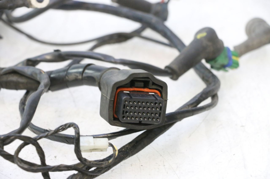 photo de WIRE HARNESS PIAGGIO MP3 500 (2016 - 2018) - Fixing points details
